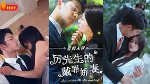 罪妻难逃与厉先生的爱恨纠葛：一段戴罪娇妻的惊心动魄之旅