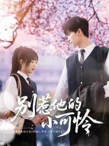 《别惹他的小可怜》：黑帮大佬的暖心救赎与真爱