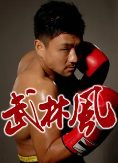 武林风2016：热血格斗的激情盛宴，功夫迷不容错过！